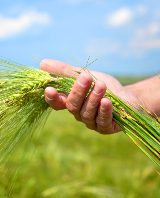 Farmer Producer Company