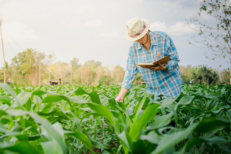 Farmers Loan
